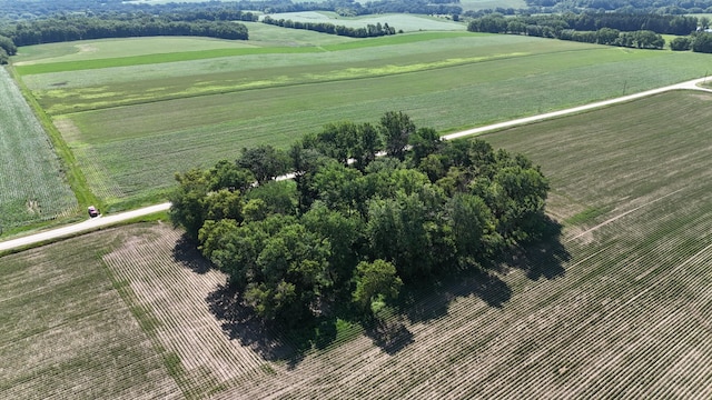 TBD 122nd Ave NE, Viola Twp, MN 55934 - photo 19