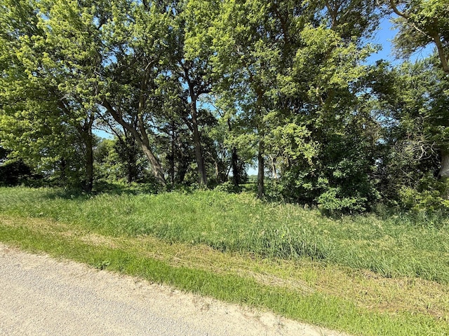 TBD 122nd Ave NE, Viola Twp, MN 55934 - photo 21