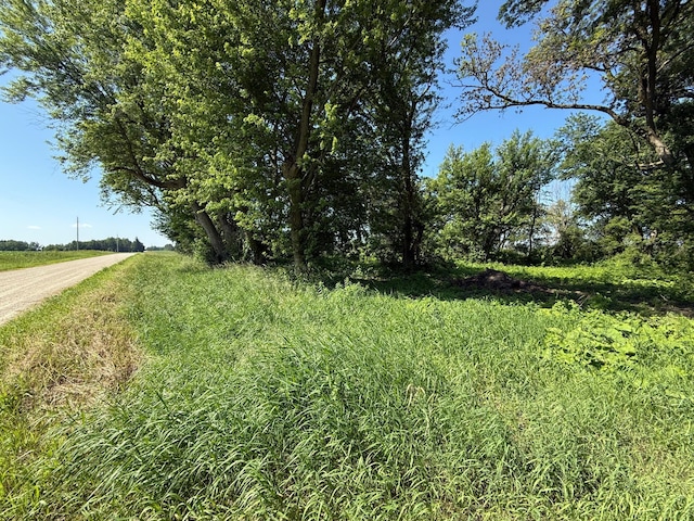 TBD 122nd Ave NE, Viola Twp, MN 55934 - photo 22