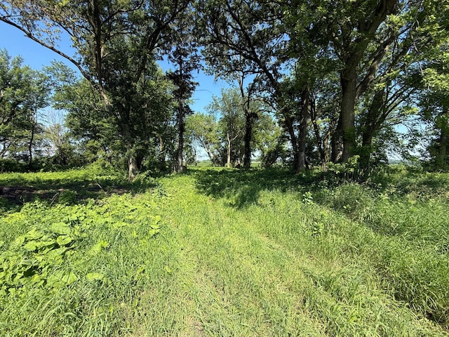 TBD 122nd Ave NE, Viola Twp, MN 55934 - photo 23