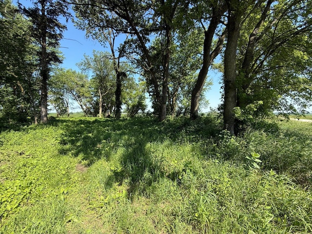 TBD 122nd Ave NE, Viola Twp, MN 55934 - photo 24