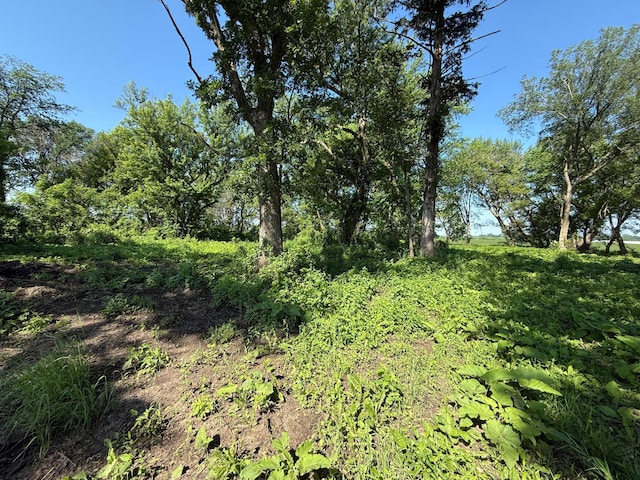 TBD 122nd Ave NE, Viola Twp, MN 55934 - photo 25