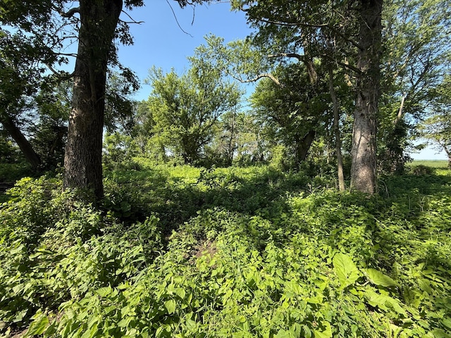 TBD 122nd Ave NE, Viola Twp, MN 55934 - photo 26