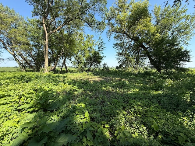 TBD 122nd Ave NE, Viola Twp, MN 55934 - photo 27