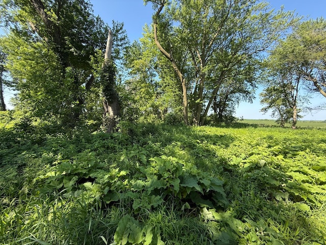 TBD 122nd Ave NE, Viola Twp, MN 55934 - photo 28