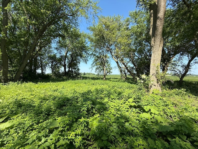 TBD 122nd Ave NE, Viola Twp, MN 55934 - photo 29