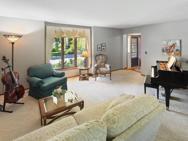 461 Dudley Ave, Shoreview, MN 55126 - carpeted living room featuring a textured ceiling