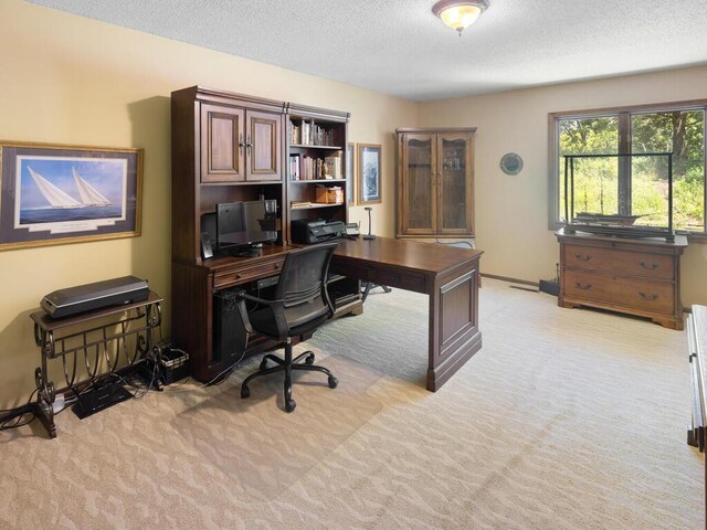 461 Dudley Ave, Shoreview, MN 55126 - office space featuring a textured ceiling and light colored carpet