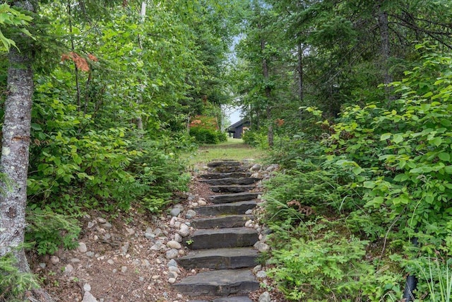 13315 Aurora Dr, Ely, MN 55731 - photo 19