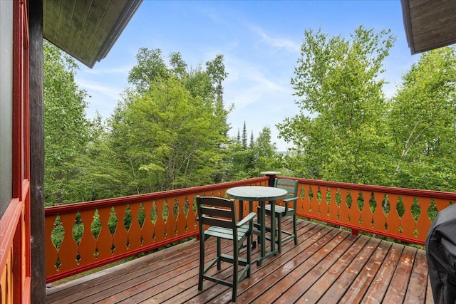 13315 Aurora Dr, Ely, MN 55731 - photo 22