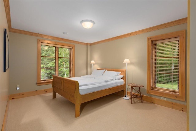 13315 Aurora Dr, Ely, MN 55731 - photo 29