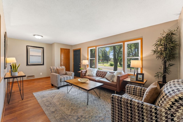 1111 Edgewater Ave, Arden Hills, MN 55112 - living room with wood finished floors and a textured ceiling