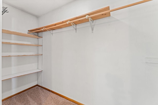 1111 Edgewater Ave, Arden Hills, MN 55112 - spacious closet with carpet flooring