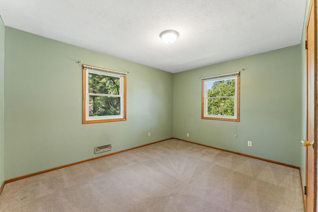 1111 Edgewater Ave, Arden Hills, MN 55112 - empty room featuring carpet floors and a textured ceiling