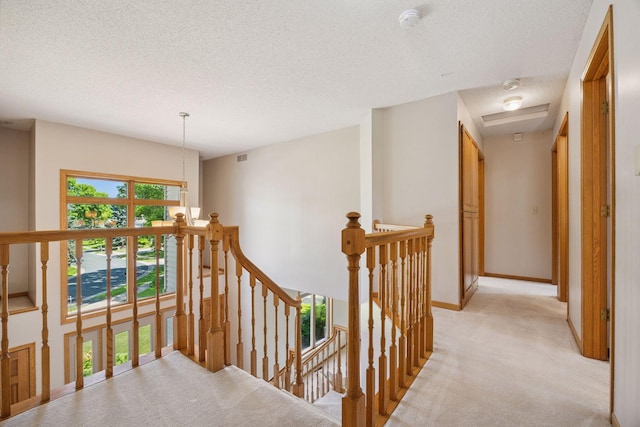 8943 Sylvan Rdg, Eden Prairie, MN 55347 - photo 29