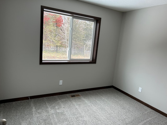 3454 237th Ave NW, Saint Francis, MN 55070 - empty room with healthy amount of natural light and carpet floors
