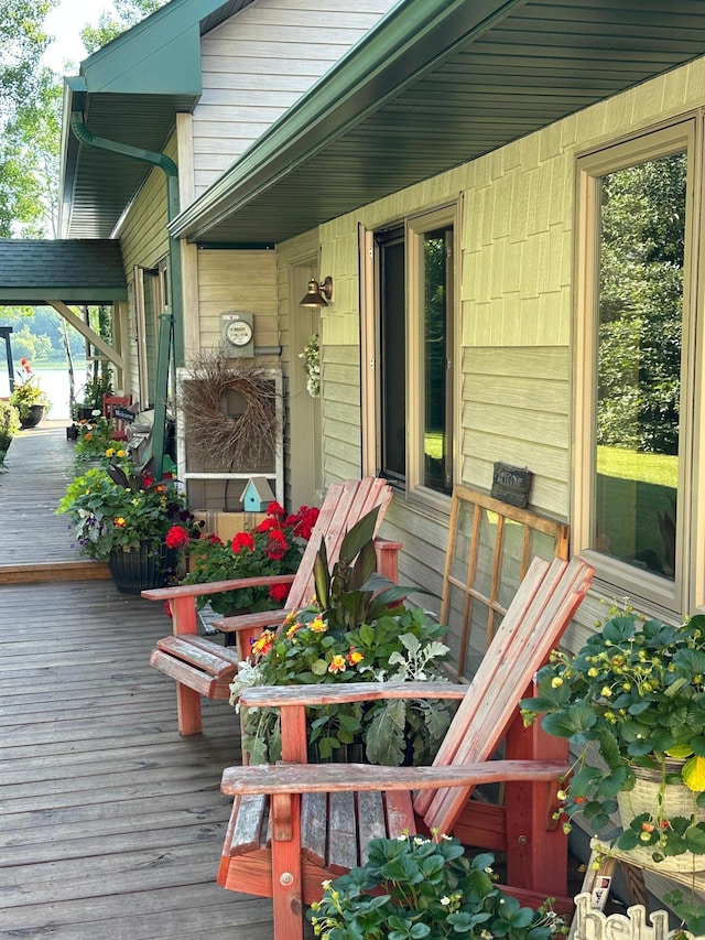 1415 Riverside Dr NW Unit 1415, Baudette, MN 56623 - view of deck