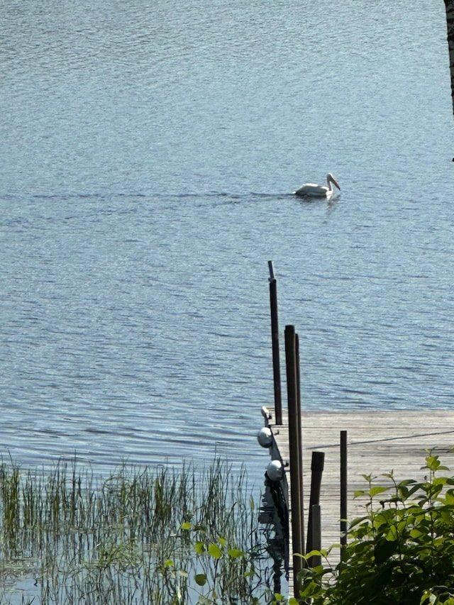 1415 Riverside Dr NW Unit 1415, Baudette, MN 56623 - water view featuring a boat dock