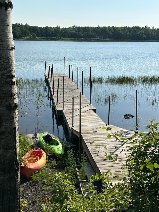 1415 Riverside Dr NW Unit 1415, Baudette, MN 56623 - dock with a water view
