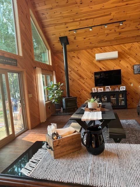1415 Riverside Dr NW Unit 1415, Baudette, MN 56623 - living area with a wood stove, wooden walls, a towering ceiling, and wood finished floors