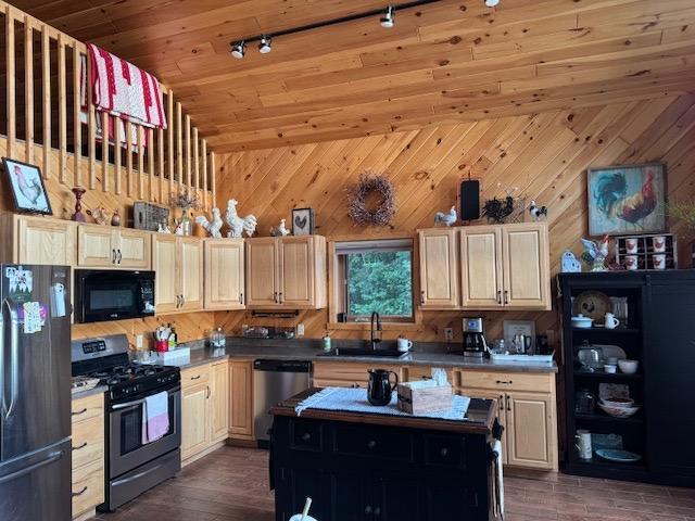 1415 Riverside Dr NW Unit 1415, Baudette, MN 56623 - kitchen with black appliances, dark wood-type flooring, wooden walls, track lighting, and a kitchen island