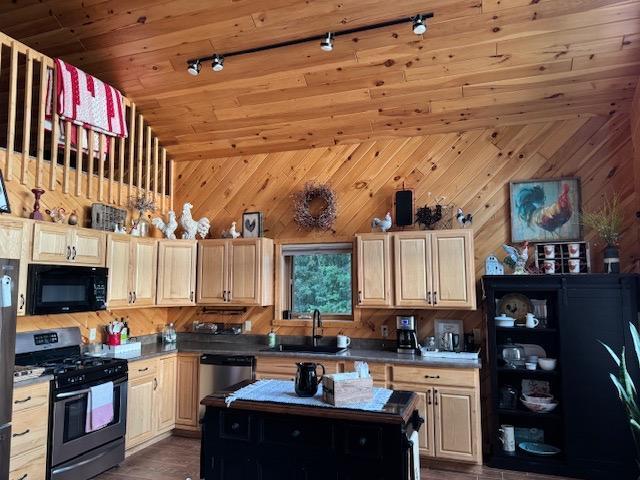1415 Riverside Dr NW Unit 1415, Baudette, MN 56623 - kitchen with stainless steel appliances, wood walls, track lighting, a kitchen island, and dark wood-style flooring