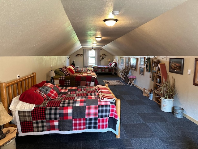 1415 Riverside Dr NW Unit 1415, Baudette, MN 56623 - carpeted bedroom featuring lofted ceiling and a textured ceiling