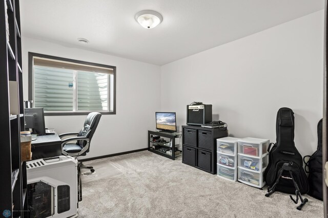 6028 59th Ave S, Fargo, ND 58104 - office space featuring carpet floors and baseboards