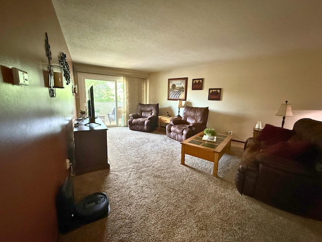 120 Demont Ave E Unit 208, Little Canada, MN 55117 - living room featuring carpet floors and a textured ceiling