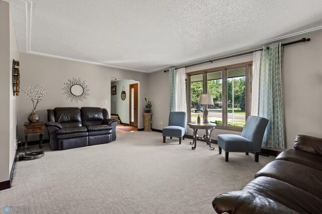 21 35th Ave NE, Fargo, ND 58102 - living area featuring a textured ceiling, carpet flooring, crown molding, and arched walkways