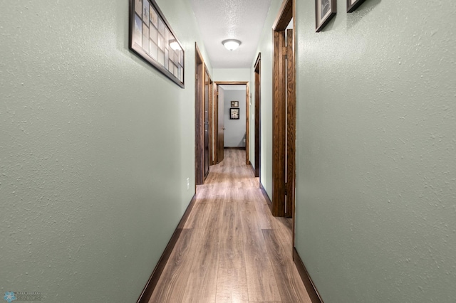 21 35th Ave NE, Fargo, ND 58102 - hallway featuring wood finished floors and a textured wall