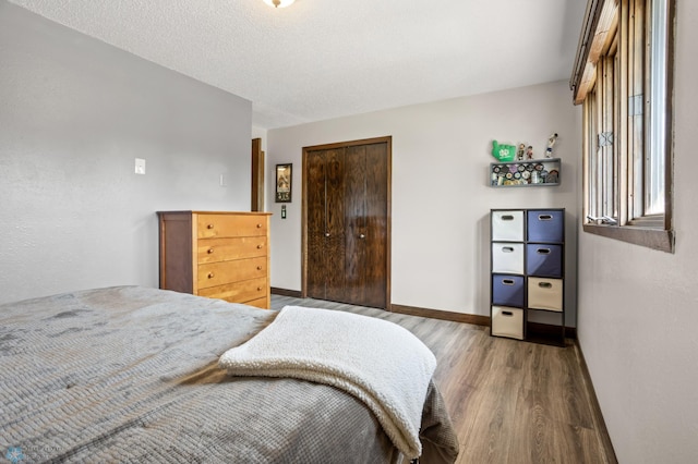 21 35th Ave NE, Fargo, ND 58102 - bedroom featuring wood finished floors and a closet