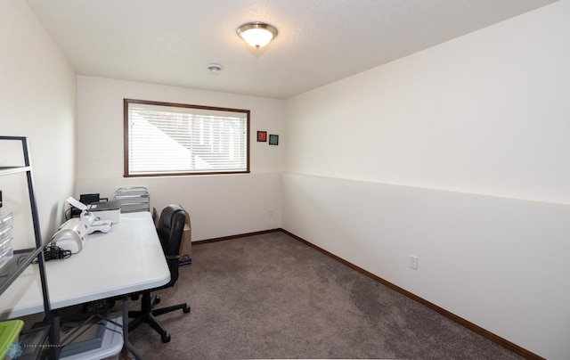 34 Cedar Dr, Mapleton, ND 58059 - office space featuring carpet floors and baseboards