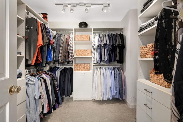 4803 Chantrey Pl, Minnetonka, MN 55345 - walk in closet with carpet floors