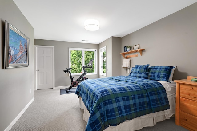 4803 Chantrey Pl, Minnetonka, MN 55345 - bedroom with baseboards and carpet floors