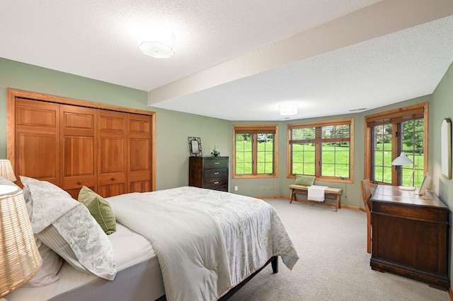 4803 Chantrey Pl, Minnetonka, MN 55345 - carpeted bedroom featuring a closet and a textured ceiling