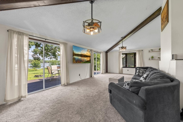 3322 277th Ave NW, Stanford Twp, MN 55040 - carpeted living area featuring a textured ceiling and a chandelier