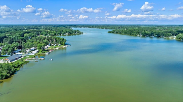 3322 277th Ave NW, Stanford Twp, MN 55040 - bird's eye view of a heavily wooded area and a large body of water