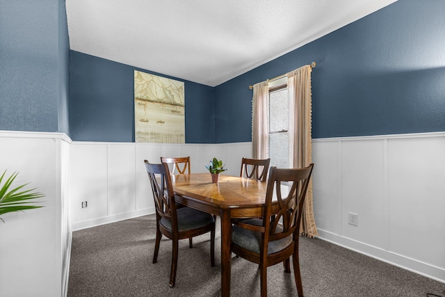3322 277th Ave NW, Stanford Twp, MN 55040 - carpeted dining area featuring a wainscoted wall and a decorative wall