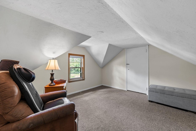 3322 277th Ave NW, Stanford Twp, MN 55040 - sitting room with a textured ceiling, lofted ceiling, and carpet flooring