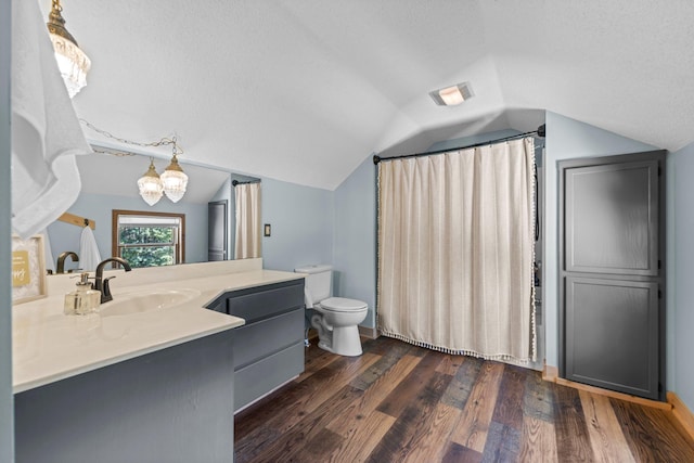 3322 277th Ave NW, Stanford Twp, MN 55040 - bathroom with vanity, lofted ceiling, a chandelier, wood finished floors, and a shower with shower curtain