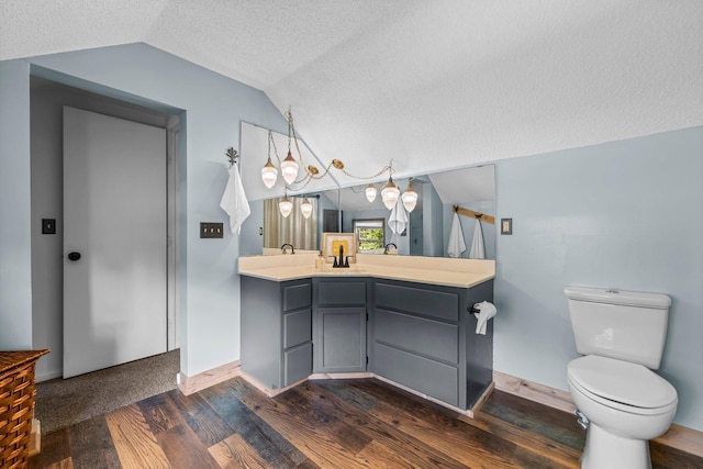 3322 277th Ave NW, Stanford Twp, MN 55040 - full bath featuring lofted ceiling, a textured ceiling, wood finished floors, and vanity