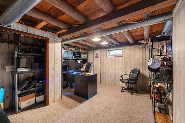 3322 277th Ave NW, Stanford Twp, MN 55040 - office area featuring carpet flooring and wood walls