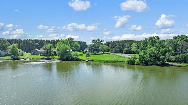 3322 277th Ave NW, Stanford Twp, MN 55040 - water view featuring a forest