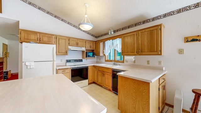 120 6th St SW, Chatfield, MN 55923 - kitchen featuring black appliances, under cabinet range hood, vaulted ceiling, light countertops, and light flooring