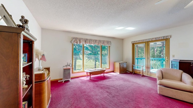 120 6th St SW, Chatfield, MN 55923 - living area with a textured ceiling, healthy amount of natural light, and carpet flooring
