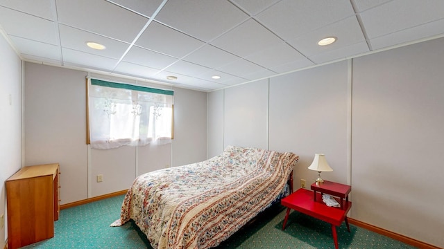 120 6th St SW, Chatfield, MN 55923 - carpeted bedroom featuring a drop ceiling and recessed lighting