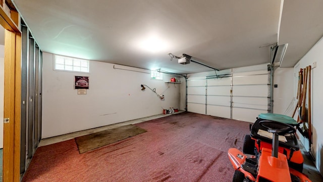 120 6th St SW, Chatfield, MN 55923 - garage with a garage door opener