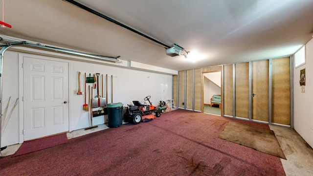 120 6th St SW, Chatfield, MN 55923 - garage with a garage door opener