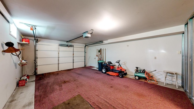 120 6th St SW, Chatfield, MN 55923 - garage with a garage door opener